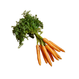 Carrot Dutch - Bunch