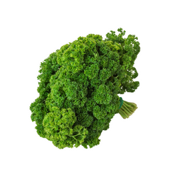 Parsley Curly - Bunch