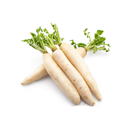 Daikon - Bunch