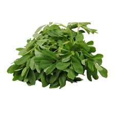 Methi Leaves - Bunch