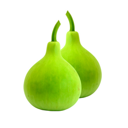 Bottle Gourd - Kg