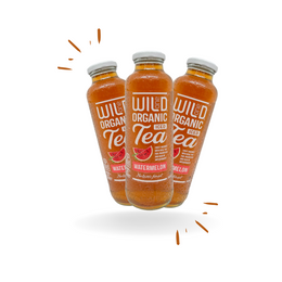 12 x Watermelon Organic Iced-Tea 360ml - Box