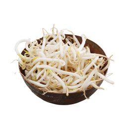 Bean Shoots Sprout 4Kg - Bag