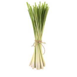 Lemon Grass - Bunch