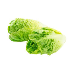 Lettuce Twin Cos - 10Pack - Box