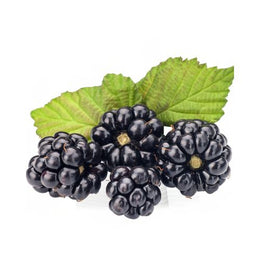 Blackberries Tray (Seasonal)