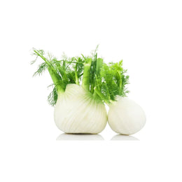 Fennel - Pcs