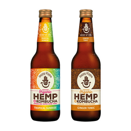 12 x Organic Hemp + Kombucha Mixed 330ml - Box