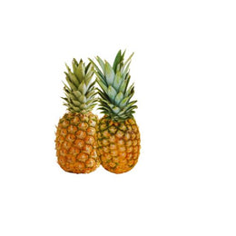 Pineapple Juicing-11 Pcs box