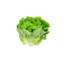 Premium Mignonette lettuce-8 Bunch in Box