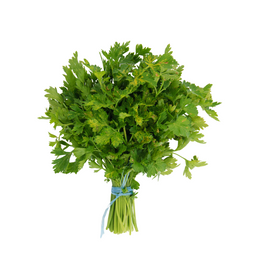 Parsley Continental - Bunch