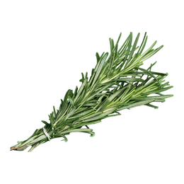 Rosemary - Bunch