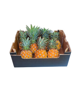 Pineapple 12Pcs - Box