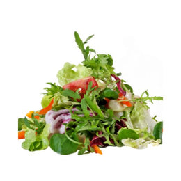 Salad Mix - 16 Packs 100g