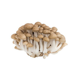 Premium Shimeji Mushrooms-Prepack 150g