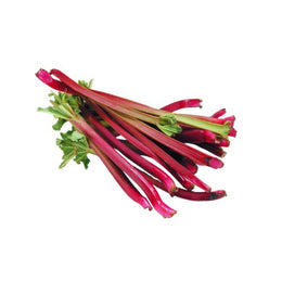 Rhubarb - Bunch