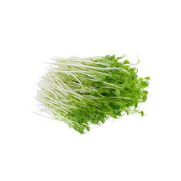 Premium Snow Pea Sprouts 100/600g