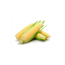 Fresh Sweet Corn Delivered Straight to You - DeliverFresh Melbourne